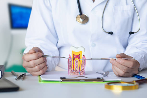 Best Emergency Gum Treatment in Combine, TX